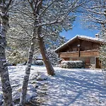 Village Des Oursons B - Happy