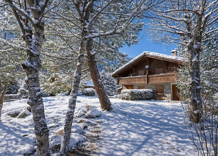 Village Des Oursons B - Happy