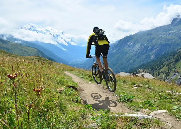 Apartman Village Des Oursons B - Happy *