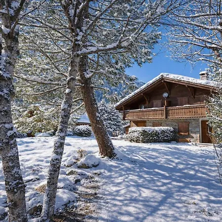 Village Des Oursons B - Happy